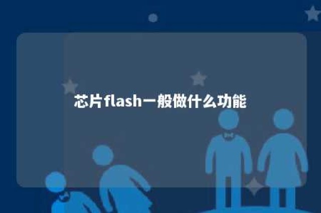 芯片flash一般做什么功能 
